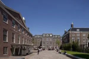 zijentree Hermitage Amsterdam. Foto Luuk Kramer.