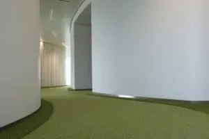 7 De vergaderzalen hebben akoestische beplating aan de buitenzijde, voorzien van een geabstraheerd berkenpatroon