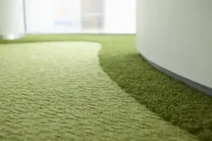 6 Tapijt met kort geschoren looppad