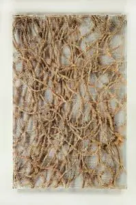 Pablo Lehmann, Ivy, 2010 150x100 cm