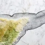 Sea me Nienke Hoogvliet