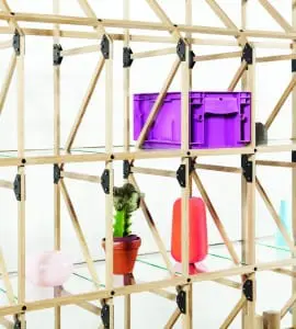 Kastsysteem van Mieke Meijer