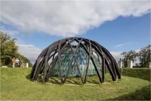 Foto: Frank Hanswijk