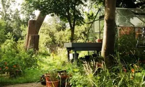 Moestuin van de Vijverschie.