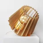 Kickstarter campagne voor lamp FRED