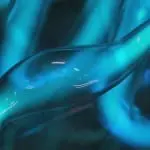 DDW Dutch Design Week Kazerne Pieke Bergmans