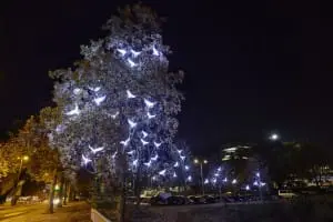 GLOW 2014
Stationsweg
Pitaya; Lènvol.© Claus Langer