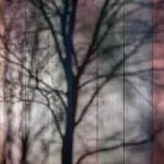 Multifunctioneel Sportcentrum Zoetermeer HET architecten