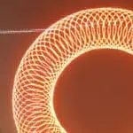 NEXT UP Arnout Meijer