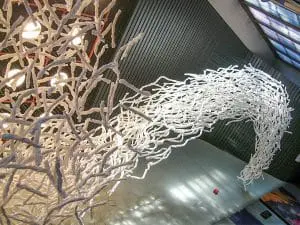 Paul Hayes, The School, paper, wire, 7 x 18 m. SOTA Theater, San Francisco 2007.     Photo: the artist
