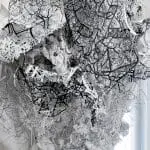 11e Papier Biënnale Rijswijk