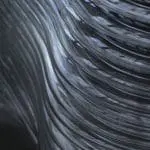 Studio Dirk van der Kooij, Holle Buis Techniek