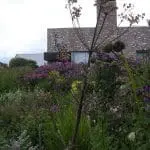 Tuin Piet Oudolf Hummelo