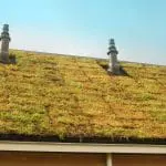 Groendaksysteem de Ecopan