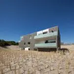 Koningkaars Schiermonnikoog