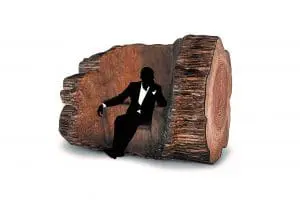 Tree Trunk Chair van Maarten Baas