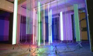 Mike Rijnierse en Willem Marijs, Lumokinese, 2008