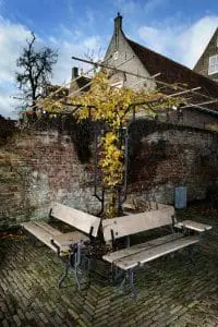 PLANT-collectie
combineert hout of glas met een takkenstelsel
van gepoedercoat zwart staal. Origin of species
installation • Foto: Kranen/Gille studio