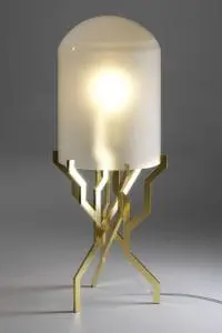 Plant Large Gold. Foto: Frans Lossie