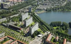Noordoever Sloterplas nu, volgroeide Iepen en het meidoornbosje rechts. 