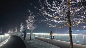 Moreelsebrug, Utrecht • Foto’s Jannes Linders
en Willem Heesen.