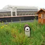 Lancering eerste groene vogeldak in Nederland -