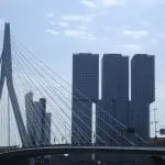 Stadmakerscongres Rotterdam Erasmusbrug
