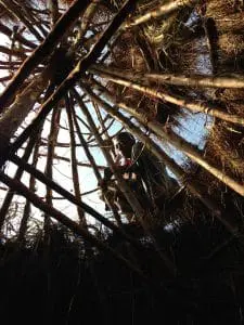 Lokale dakdekker legt riet tijdens de bouw van een testwoning in 2014 in Mount Elgon Kenia.