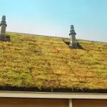 Groendaksysteem EcopanVoor en nadelen groendak