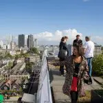 Dakakker Kennisdag Rotterdamse Dakendagen