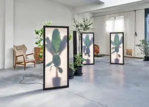 Growing PLants Rem Atelier