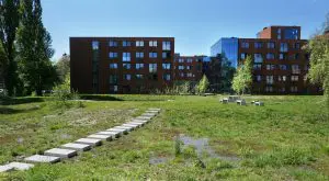 Waterpark en ISH Delft. Foto Jacqueline Knudsen