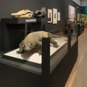 Teylers Museum expositie ‘Monsterdieren, echt of niet’ 2018