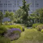 Dak Dakprestaties Groenblauwe daken