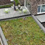 Groendak Richtlijn Begroeide Daken
