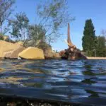 Thijd de Zeeuw landschapsarchitect dierenverblijf artis