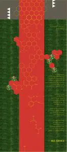 Bee Science van Caro Agterberg