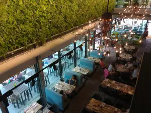 Green House Utrecht. Foto: Petra Starink