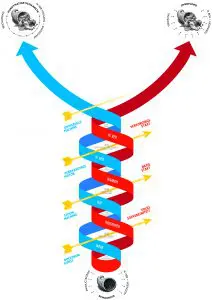 Het World Tree Model van Studio Monnik duidt de Westerse moderniteit als een groeicultuur die wordt gedreven door een dialectiek tussen de politiek van werk (blauw) en de politiek van behoren (rood).