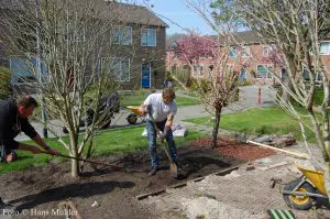 Aanleg voortuin Selwerd