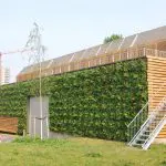 groene daken en gevels