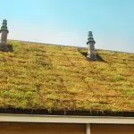 Kennis en inzicht groenblauwe daken