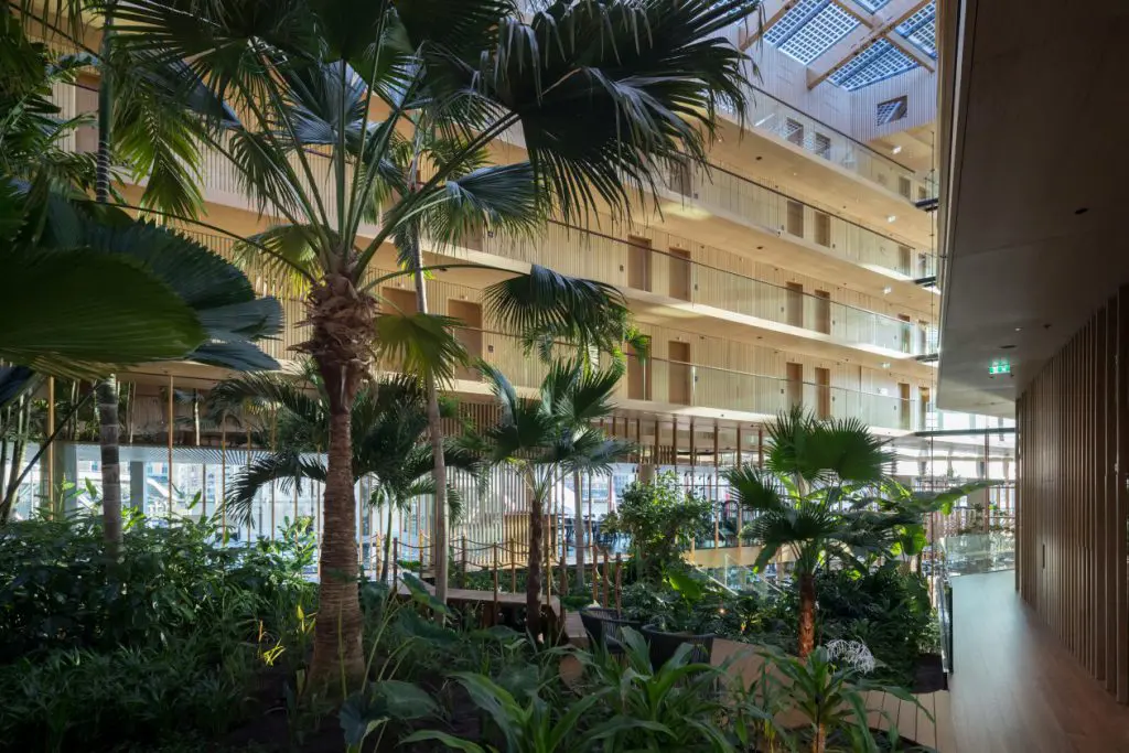 Houtconstructies in architectuur