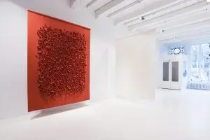 Rood en Wit Coral - WoOL. Foto:  Hugo Thomassen