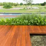 Je tuin inrichten? Dit zijn de drie basiselementen