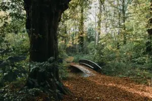 De acht nieuwe bruggen zijn belangrijke herkenningspunten op de wandelroute en maken onderdeel uit van het landschap. 