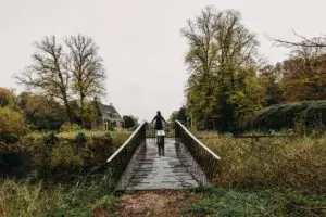  Door in vorm mee te buigen met de meanderende padenstructuur, begeleiden de bruggen de zorgvuldig geprogrammeerde wandeling. 