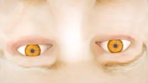 voedselvoorraden voor jarenlange zelfredzaamheid 