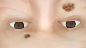 'Bunker shopping with the Kardashians