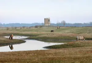 Observation Tower, Negenoord by De Gouden Liniaal Architecten ©  Filip Dujardin